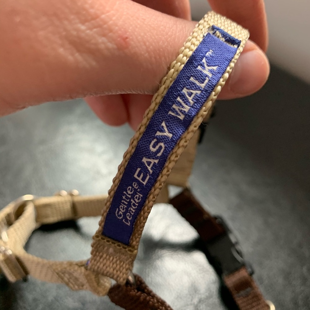 EasyWalk Small Dog Harness